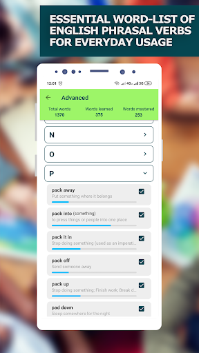 English Phrasal Verbs - Image screenshot of android app
