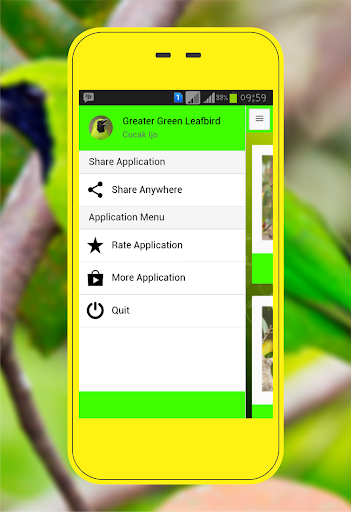 Greater Green Leafbird - عکس برنامه موبایلی اندروید