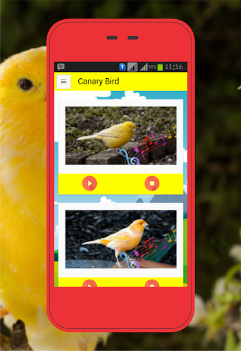 Canary Birds - Image screenshot of android app