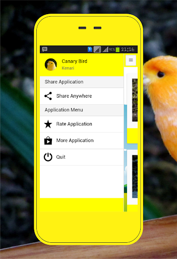 Canary Birds - Image screenshot of android app