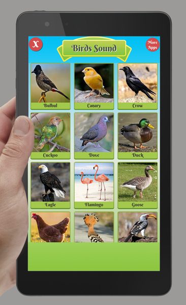 Birds & Animal Sounds - عکس برنامه موبایلی اندروید