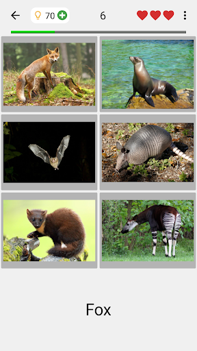 Animals Quiz Learn All Mammals - عکس بازی موبایلی اندروید