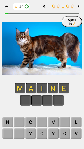 Cats Quiz - Guess Photos of All Popular Cat Breeds - Gameplay image of android game