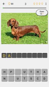 Dogs Quiz - Guess Popular Dog Breeds in the Photos - عکس بازی موبایلی اندروید
