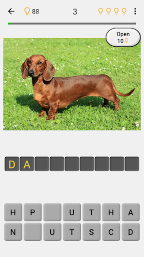 Dogs Quiz - Guess All Breeds! - Gameplay image of android game