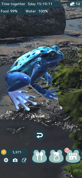 Frog Friends - عکس بازی موبایلی اندروید