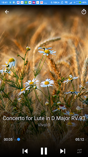 Relaxing Classical Music - Image screenshot of android app