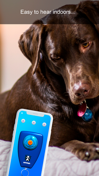Dog Clicker - Image screenshot of android app