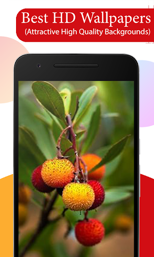 Fruit Tree Wallpapers HD - عکس برنامه موبایلی اندروید