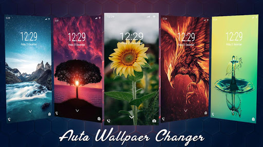How to Change Wallpaper Automatically on Your Samsung Galaxy Phone   TechWiser