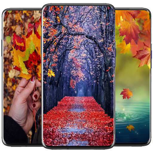 Autumn Wallpaper - Image screenshot of android app