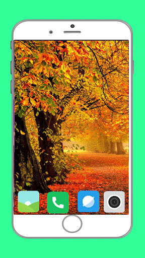 Autumn Full HD Wallpaper - Image screenshot of android app