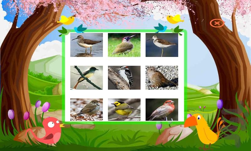 صدای پرندگان - عکس برنامه موبایلی اندروید