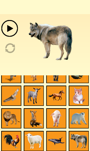 Animal Sounds - عکس برنامه موبایلی اندروید