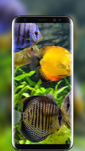 Aquarium Fish Live Wallpaper 2020 Free - عکس برنامه موبایلی اندروید