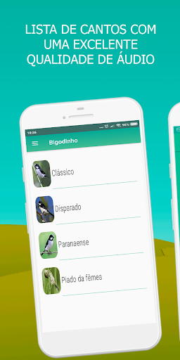 Sounds of the bird Golinha - Image screenshot of android app