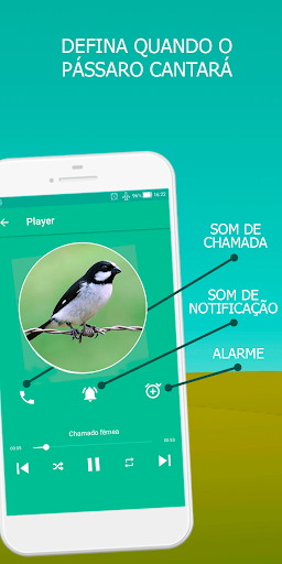Sounds of the bird Golinha - Image screenshot of android app