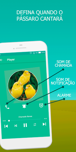 Canary Bird Belgian Corners - عکس برنامه موبایلی اندروید