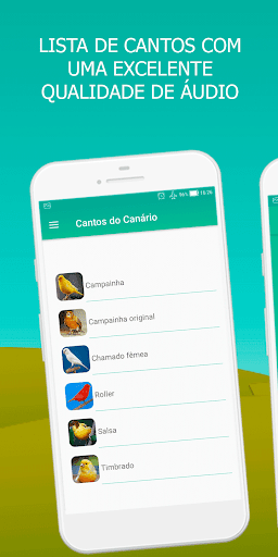 Canary Bird Belgian Corners - عکس برنامه موبایلی اندروید