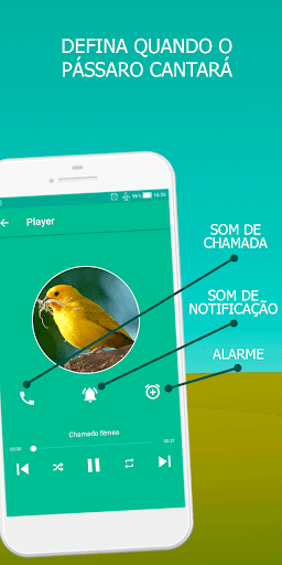 Canary bird singing - عکس برنامه موبایلی اندروید