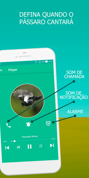 Bird songs tiziu brazil - عکس برنامه موبایلی اندروید