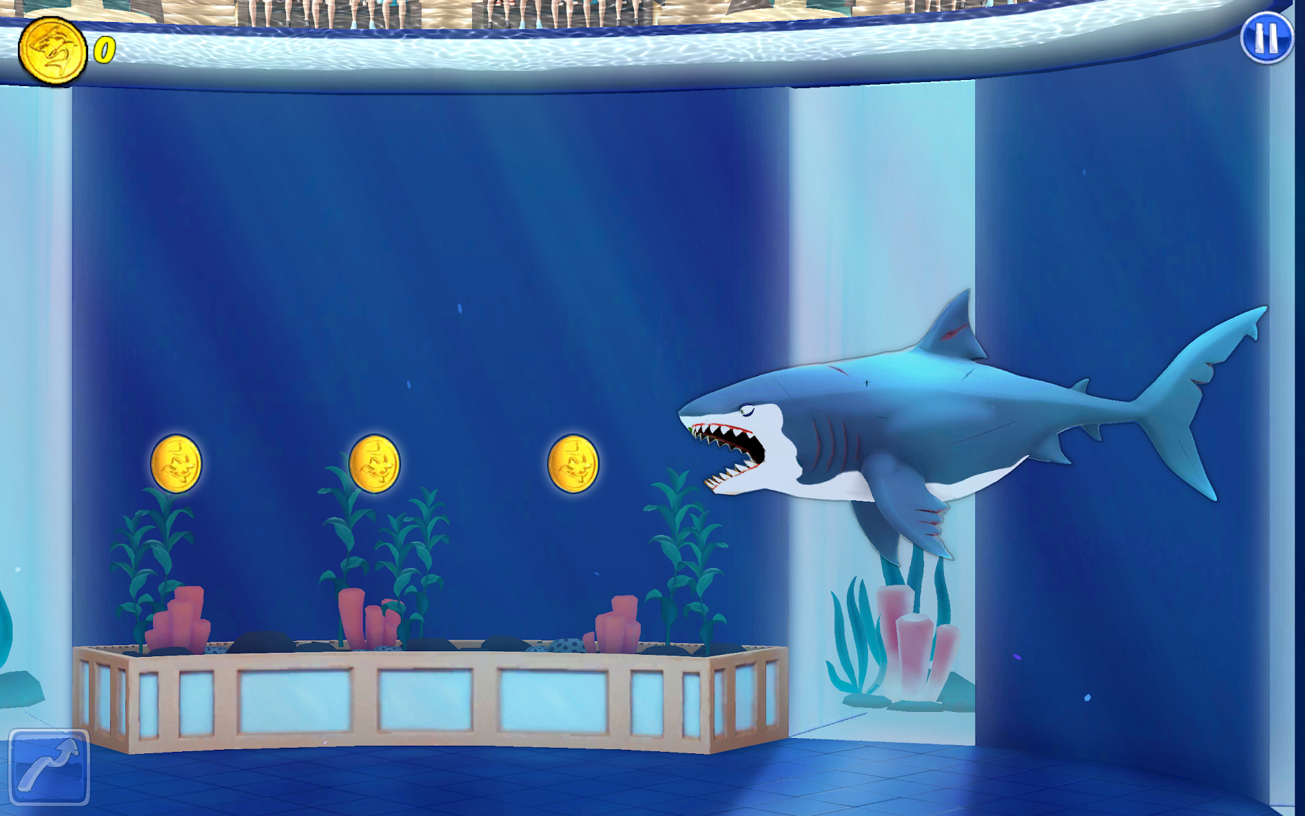 Shark Games - Shark Simulator - Dolphin Games - Dolphin Simulator, Angry  Shark Attack, Angry Shark Evolution, Angry Shark World, Double Head Shark  Attack, Hungry Fish