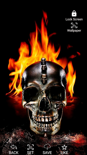 Skull Wallpapers Offline - Image screenshot of android app
