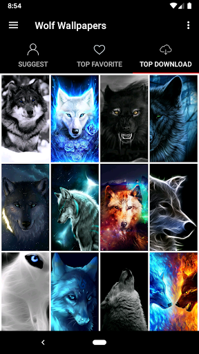 Wolf Wallpapers Offline - عکس برنامه موبایلی اندروید