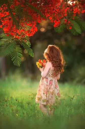 Spring Wallpapers - عکس برنامه موبایلی اندروید