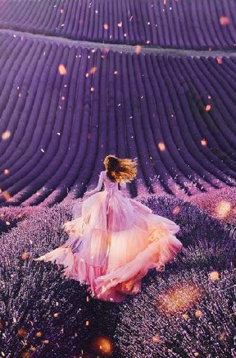 Spring Wallpapers - عکس برنامه موبایلی اندروید