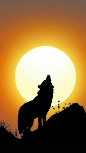 Wolf & Sunset Aesthetic Wallpapers - Wolf Wallpapers for iPhone