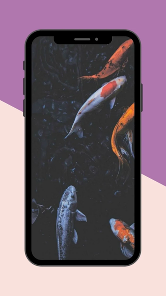 Koi Fish Live Wallpaper - عکس برنامه موبایلی اندروید