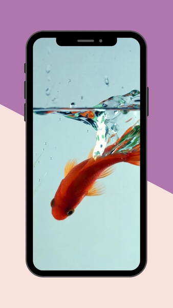 Koi Fish Live Wallpaper - Image screenshot of android app