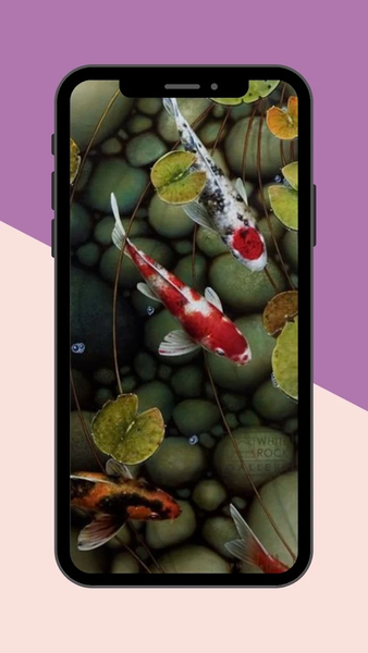 Koi Fish Live Wallpaper - عکس برنامه موبایلی اندروید