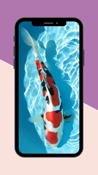 Koi Fish Live Wallpaper - عکس برنامه موبایلی اندروید