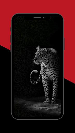 Leopard Wallpaper - Image screenshot of android app