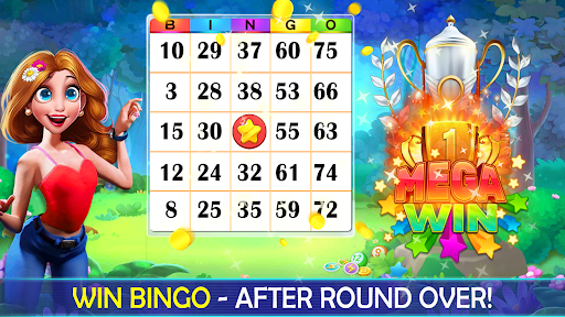 Bingo Play: Bingo Offline Fun - عکس بازی موبایلی اندروید