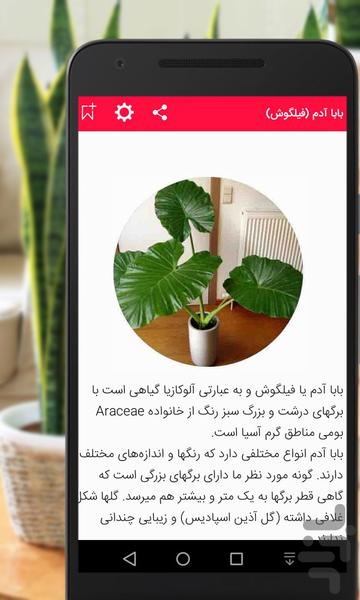 Farming in the pot - Image screenshot of android app