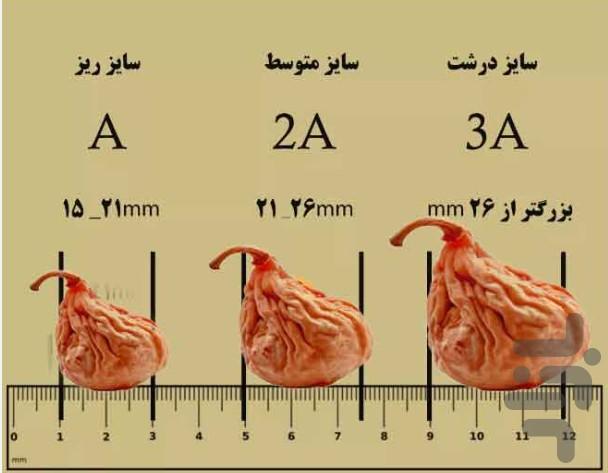 بازار انجیر ایران - عکس برنامه موبایلی اندروید
