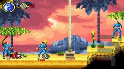 Bruce Lee - Return of the Legend - Gameplay image of android game
