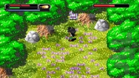 دراگون بال Z: میراث گوکو 2 - Gameplay image of android game