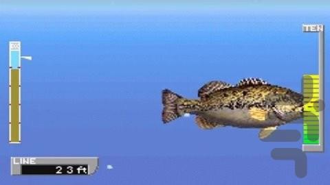 ESPN Great Outdoor Games - Bass 2002 - Gameplay image of android game