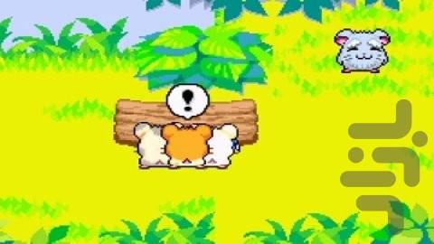 همتارو - نجات رنگین کمان - عکس بازی موبایلی اندروید