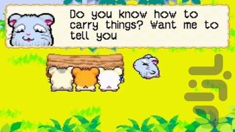 همتارو - نجات رنگین کمان - عکس بازی موبایلی اندروید