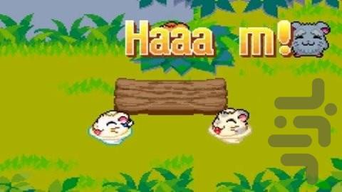 همتارو - نجات رنگین کمان - عکس بازی موبایلی اندروید