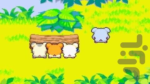 همتارو - نجات رنگین کمان - عکس بازی موبایلی اندروید