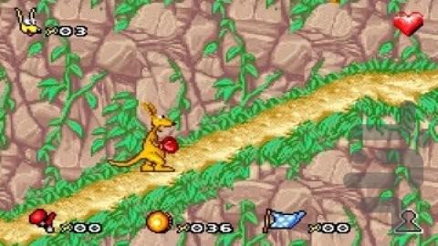 نه کانگورو - عکس بازی موبایلی اندروید