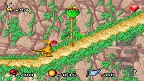 نه کانگورو - عکس بازی موبایلی اندروید