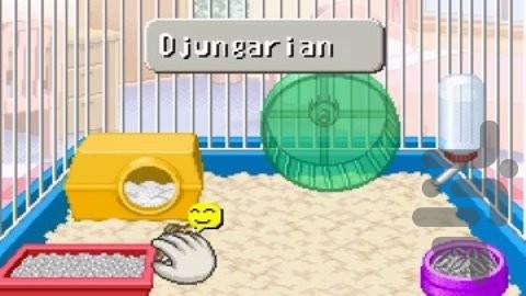 پتز - همسترز زندگی ۲ - عکس بازی موبایلی اندروید