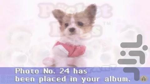 سگ های جیبی - عکس بازی موبایلی اندروید